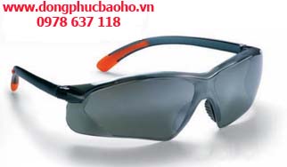 Kính bảo hộ lao động | Kinh bao ho lao dong